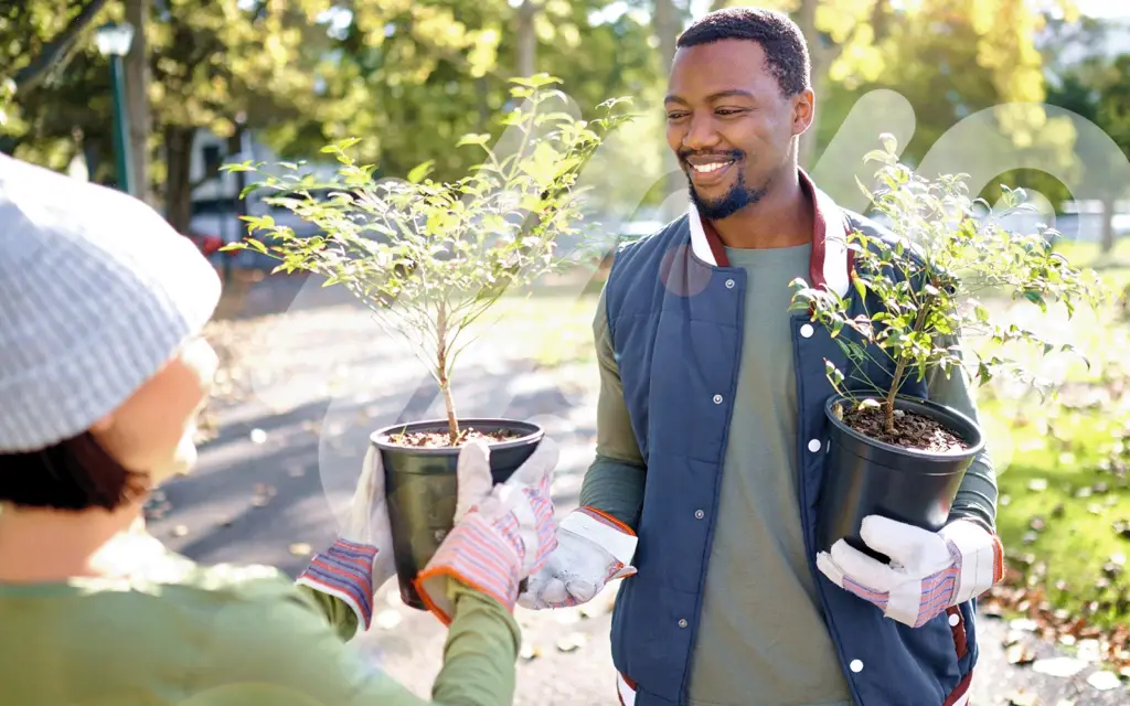 Man volunteering planting